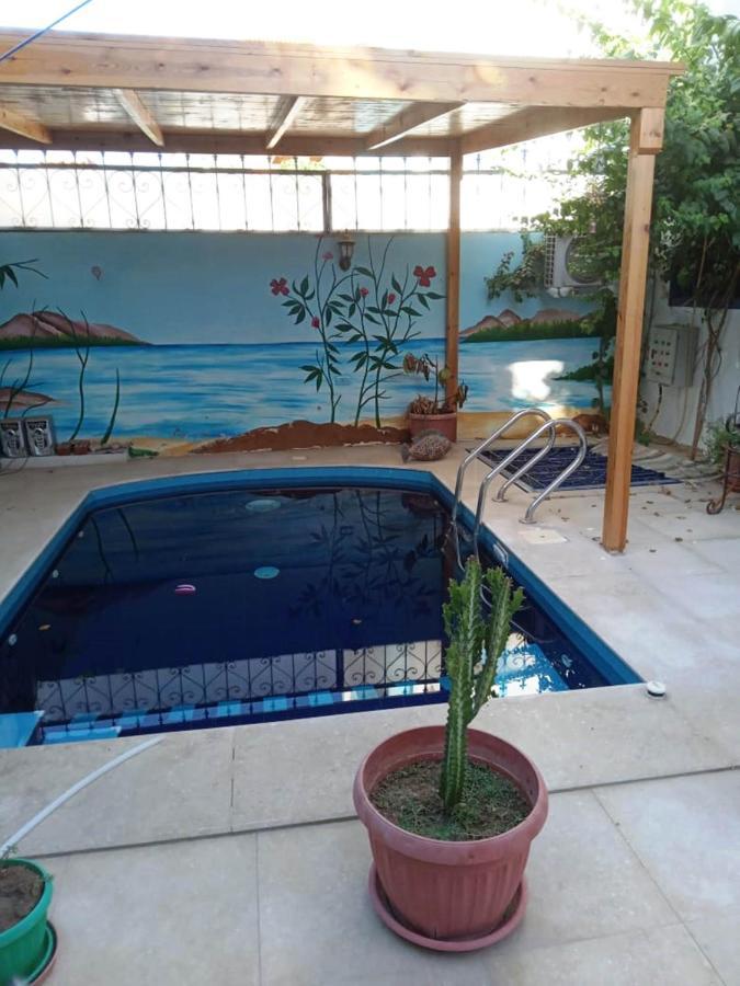 Villa Louise Guest House Luxor Exterior photo