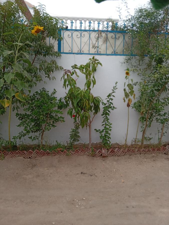 Villa Louise Guest House Luxor Exterior photo